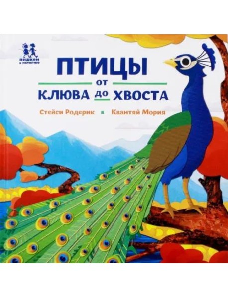 Птицы и букашки: от носа до хвоста