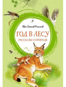 Год в лесу. Рассказы о природе