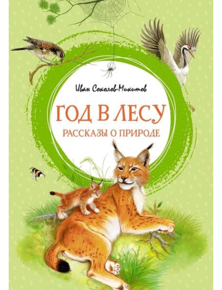 Год в лесу. Рассказы о природе