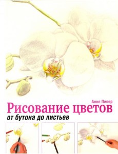 Рисование цветов от бутона до листьев Рисование цветов от бутона до листьев