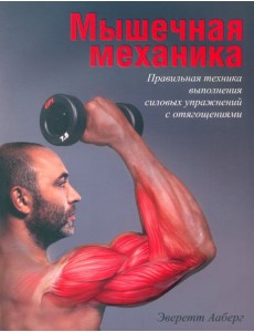 Мышечная механика