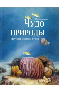 Чудо природы. История морской губки