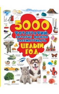 5000 фотографий, которые можно рассматривать целый год