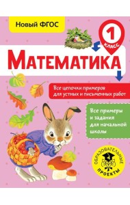 Математика. Все цепочки примеров для устных и письменных работ. 1 класс