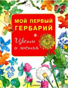 Мой первый гербарий. Цветы и листья
