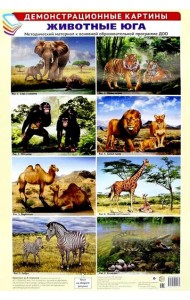 Животные Юга. Методический материал к основной образовательной программе ДОО (8 плакатов)