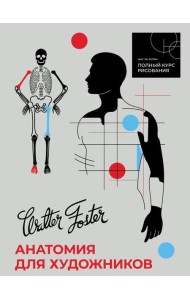 Анатомия для художников