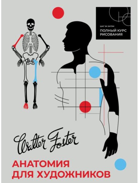 Анатомия для художников