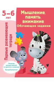 Мышление, память, внимание. Обучающие задания. 5-6 лет