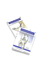 Визуальная анатомия человека: Остеология; Артросиндесмология (Карточки) (комплект)