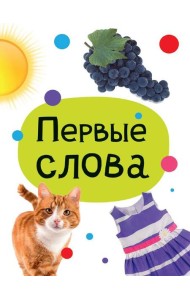 ЦК МИНИ. ПЕРВЫЕ СЛОВА