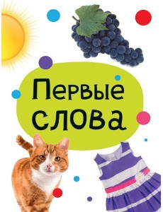 ЦК МИНИ. ПЕРВЫЕ СЛОВА