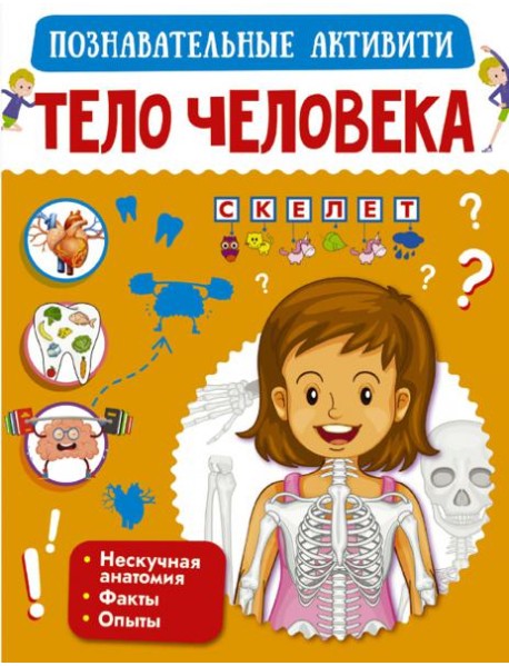 Тело человека