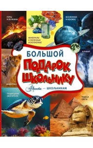 Большой подарок школьнику