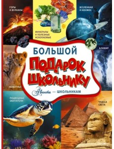 Большой подарок школьнику Большой подарок школьнику