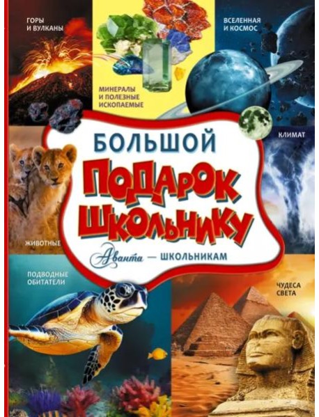 Большой подарок школьнику