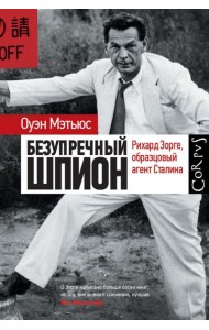 Безупречный шпион