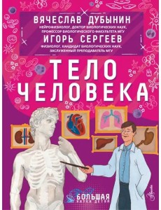Тело человека Тело человека