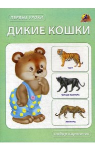 Дикие кошки. Набор карточек