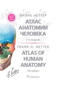 Атлас анатомии человека. 7-е изд. Неттер Ф.Г.