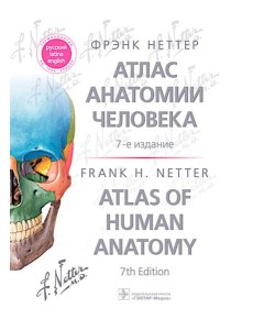 Атлас анатомии человека. 7-е изд. Неттер Ф.Г.