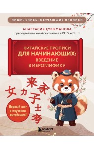 Китайские прописи для начинающих: введение в иероглифику