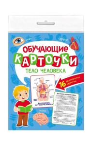 ОБУЧАЮЩИЕ КАРТОЧКИ европодвес. ТЕЛО ЧЕЛОВЕКА
