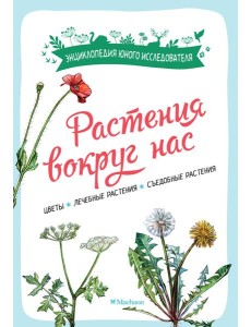 Растения вокруг нас Растения вокруг нас