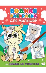ВОДНАЯ РАСКРАСКА для малышей. ДОМАШНИЕ ЖИВОТНЫЕ