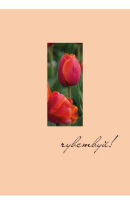 Чувствуй! Ежедневник недатированный (А5, 72 л.)