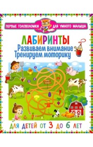 Лабиринты. Развиваем внимание, тренируем моторику