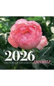 Пионы. Настенный календарь на 2026 год