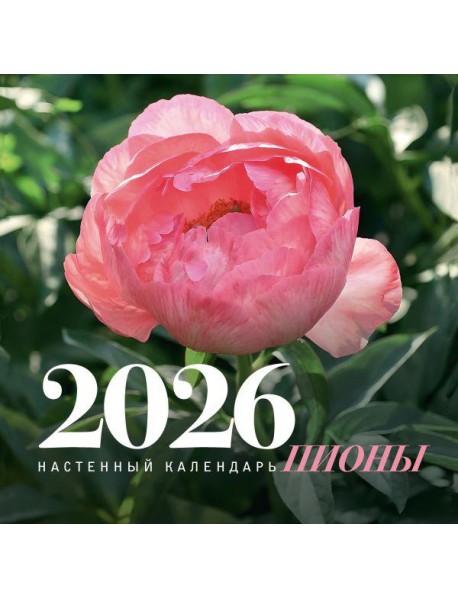 Пионы. Настенный календарь на 2026 год