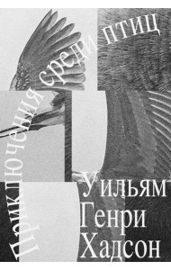 Приключение среди птиц