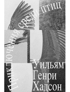 Приключение среди птиц