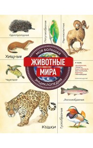 Животные мира. Моя большая энциклопедия