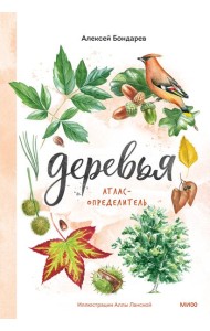 Деревья. Атлас-определитель