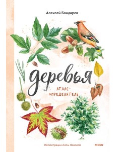 Деревья. Атлас-определитель