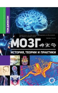 Мозг. История, теории и практики