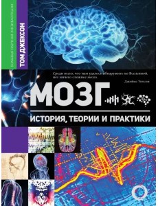 Мозг. История, теории и практики