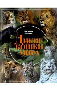 Дикие кошки мира