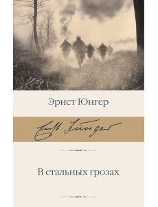 В стальных грозах В стальных грозах