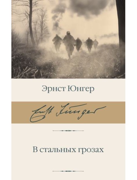 В стальных грозах