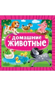 ЦК 145х145. ДОМАШНИЕ ЖИВОТНЫЕ