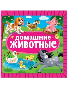 ЦК 145х145. ДОМАШНИЕ ЖИВОТНЫЕ