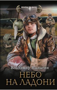 Небо в кармане!: Небо на ладони: роман