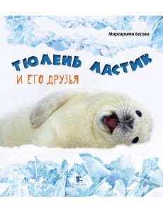 Тюлень Ластик и его друзья