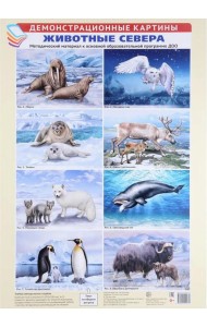 Животные Севера. Методический материал к основной образовательной программе ДОО (8 плакатов)