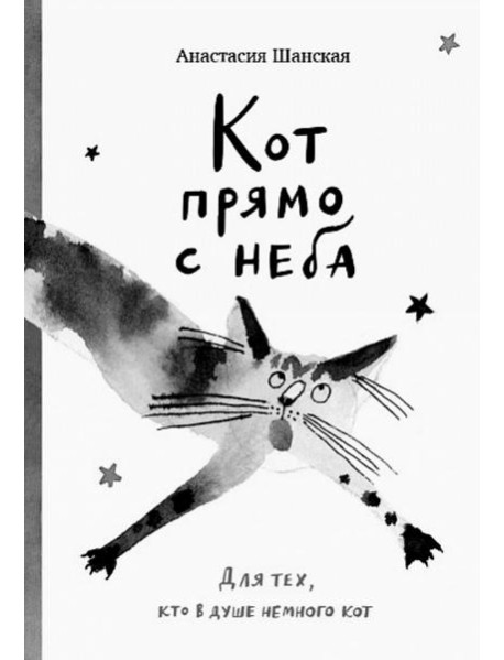 Кот прямо с неба