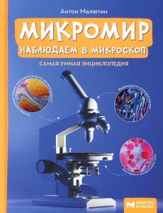 Микромир: наблюдаем в микроскоп